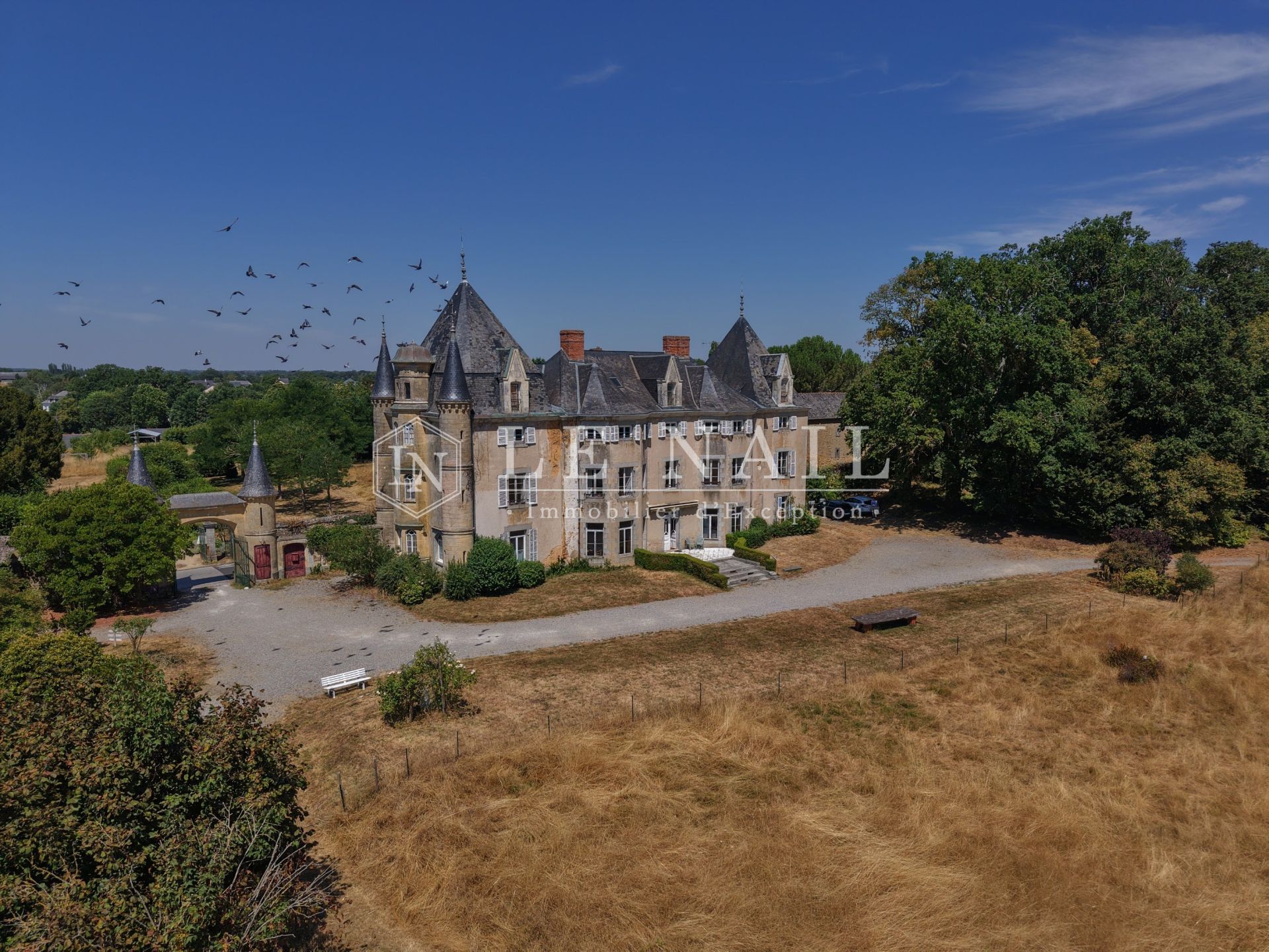 castle 20 rooms for sale on MESLAY DU MAINE (53170)