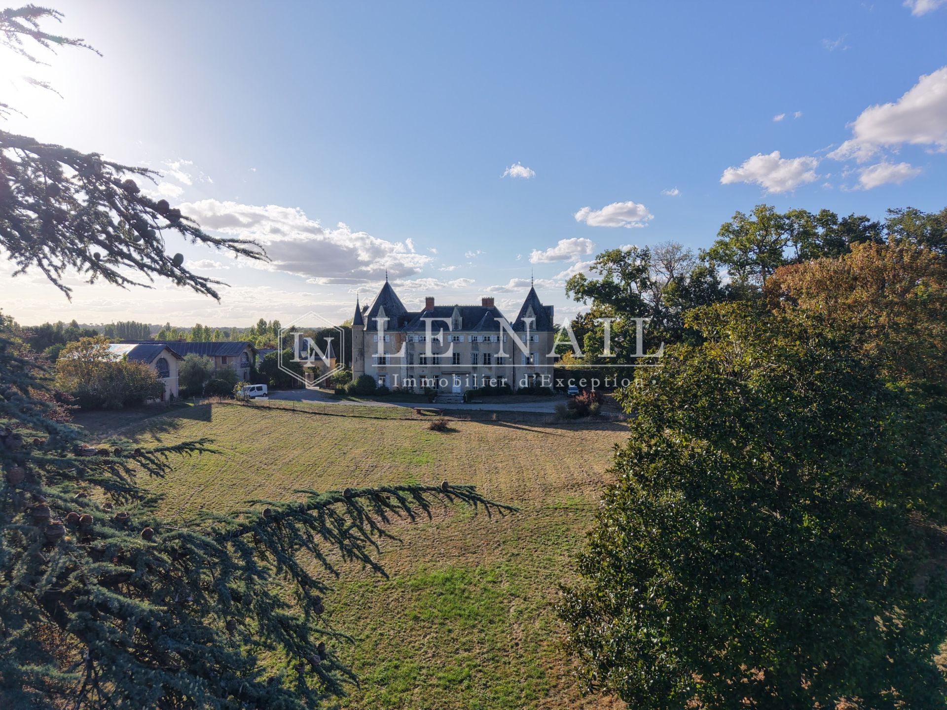château 20 pièces en vente à LAVAL (53000)