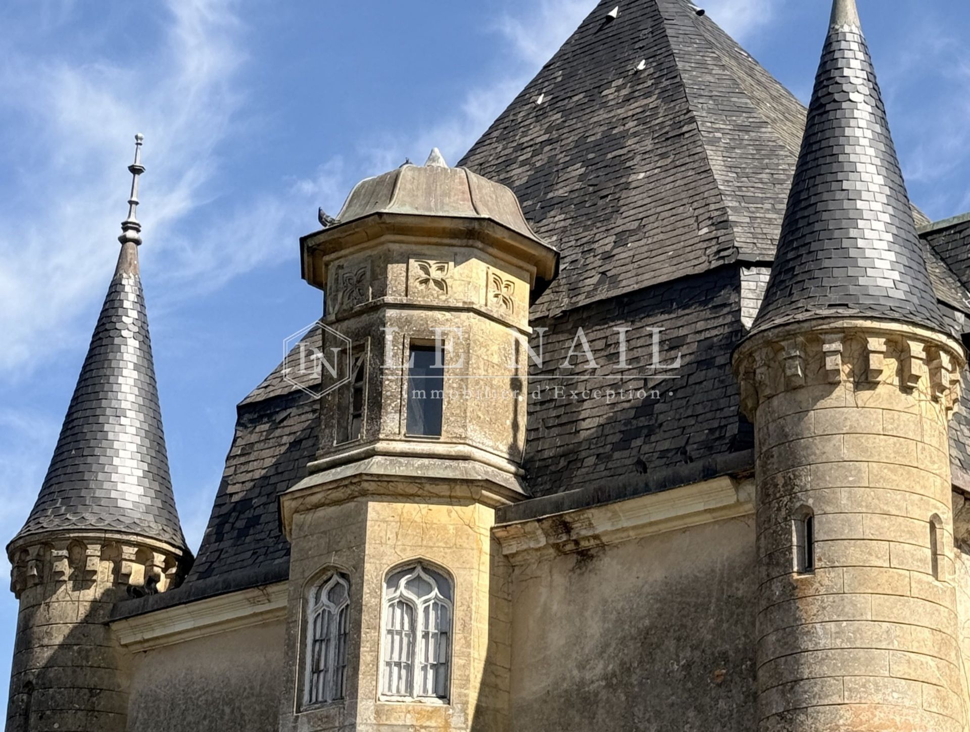 castle 20 rooms for sale on MESLAY DU MAINE (53170)