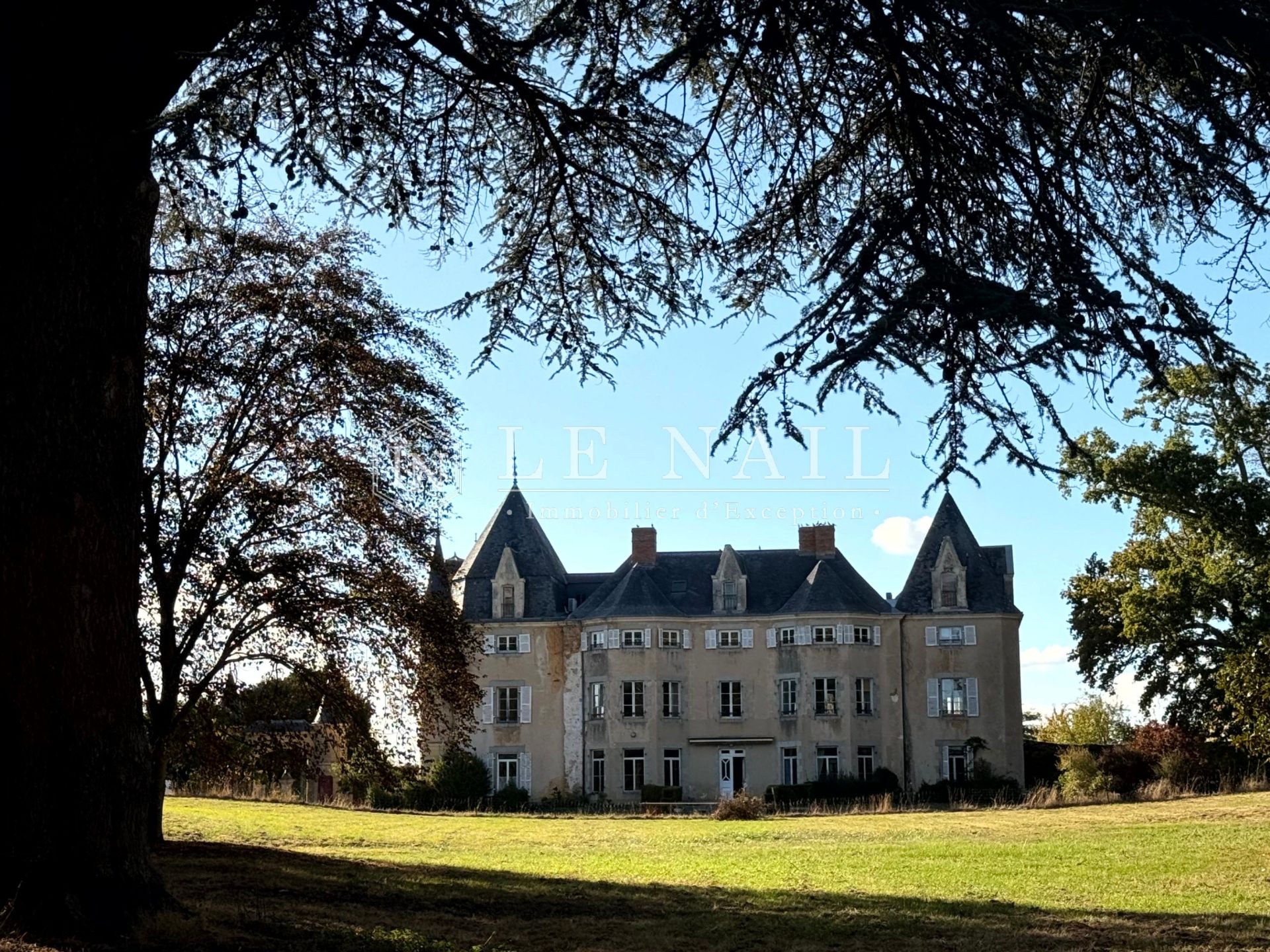 château 20 pièces en vente à LAVAL (53000)