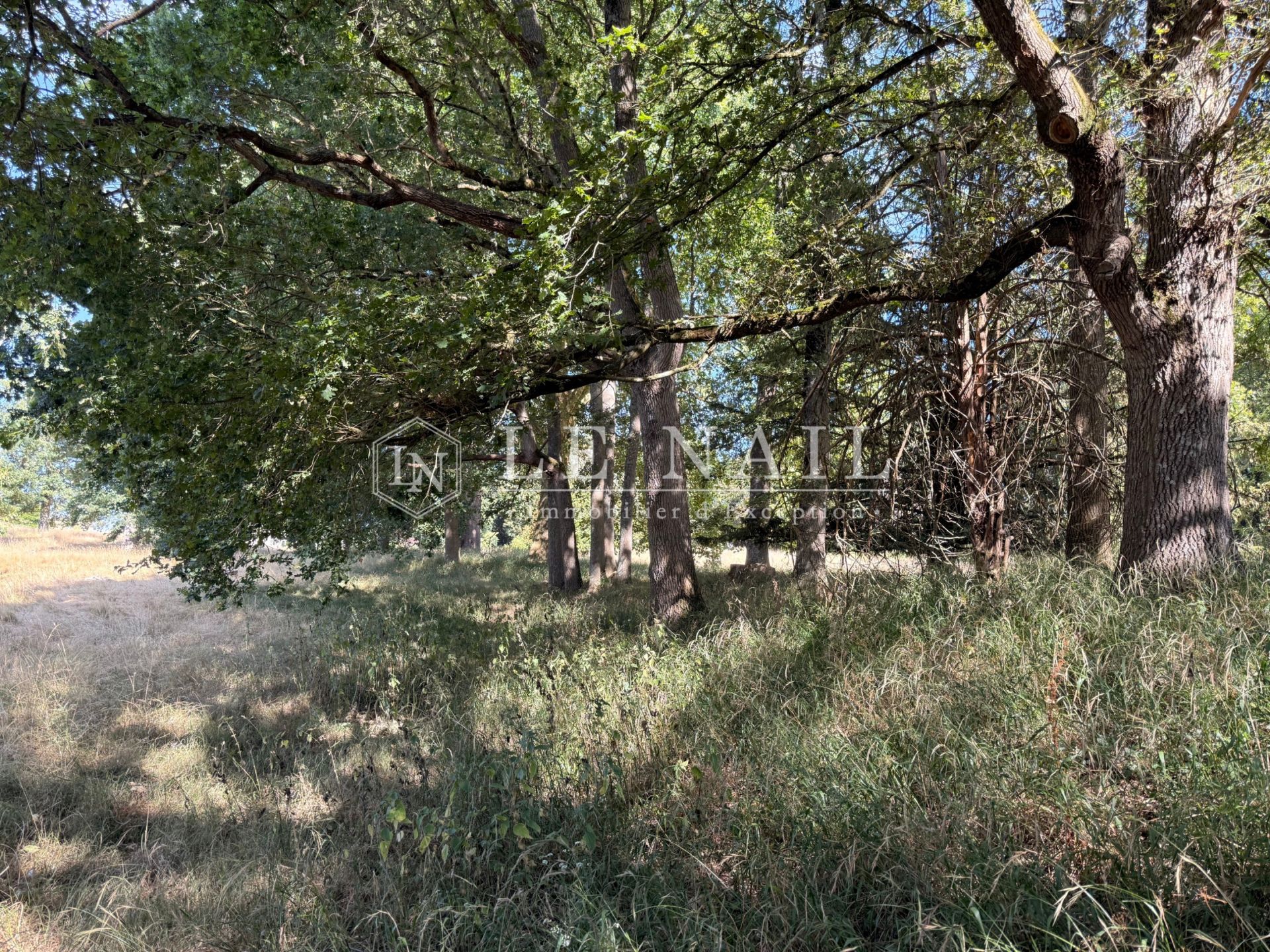 castle 20 rooms for sale on MESLAY DU MAINE (53170)