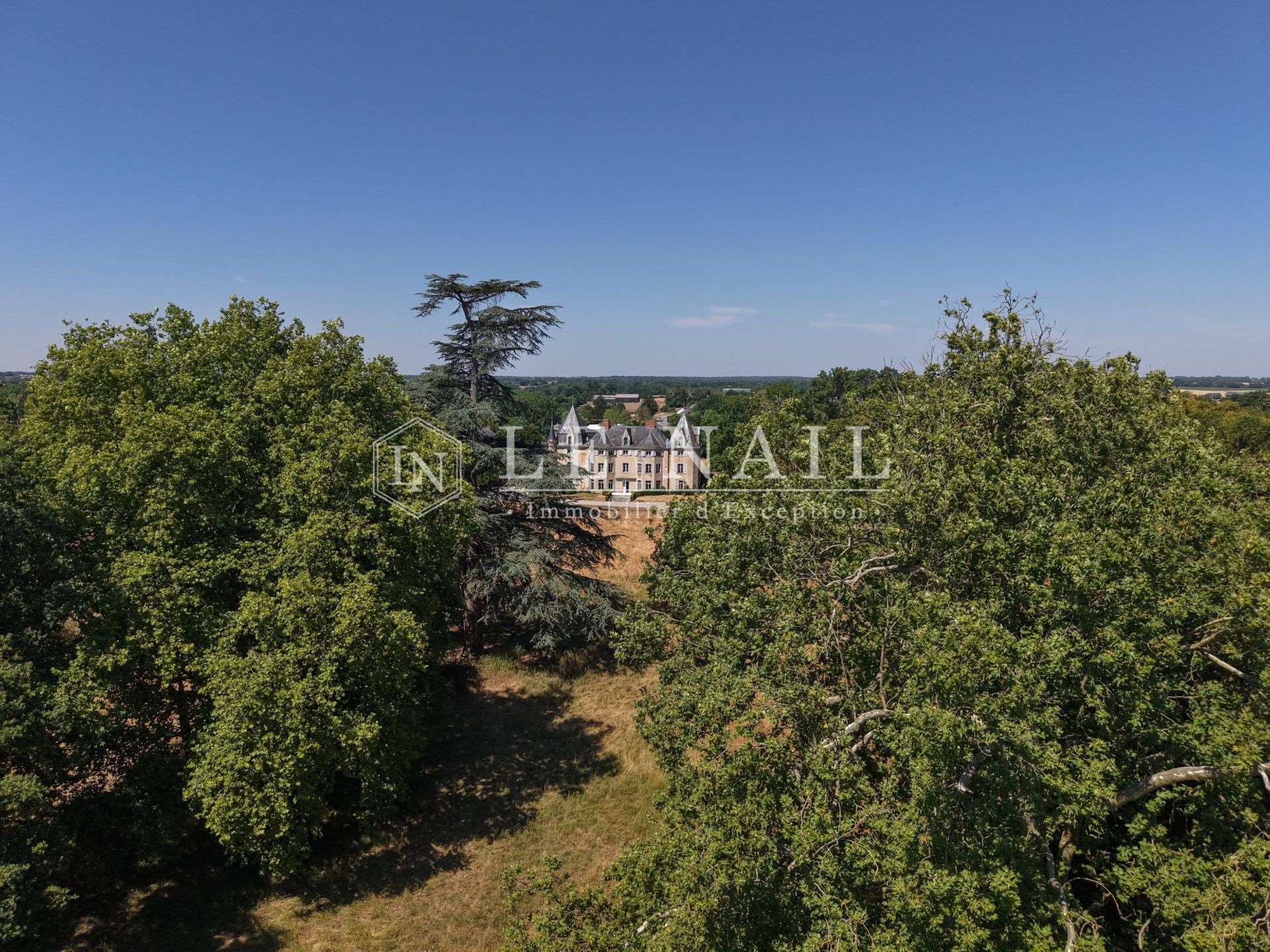 castle 20 rooms for sale on MESLAY DU MAINE (53170)