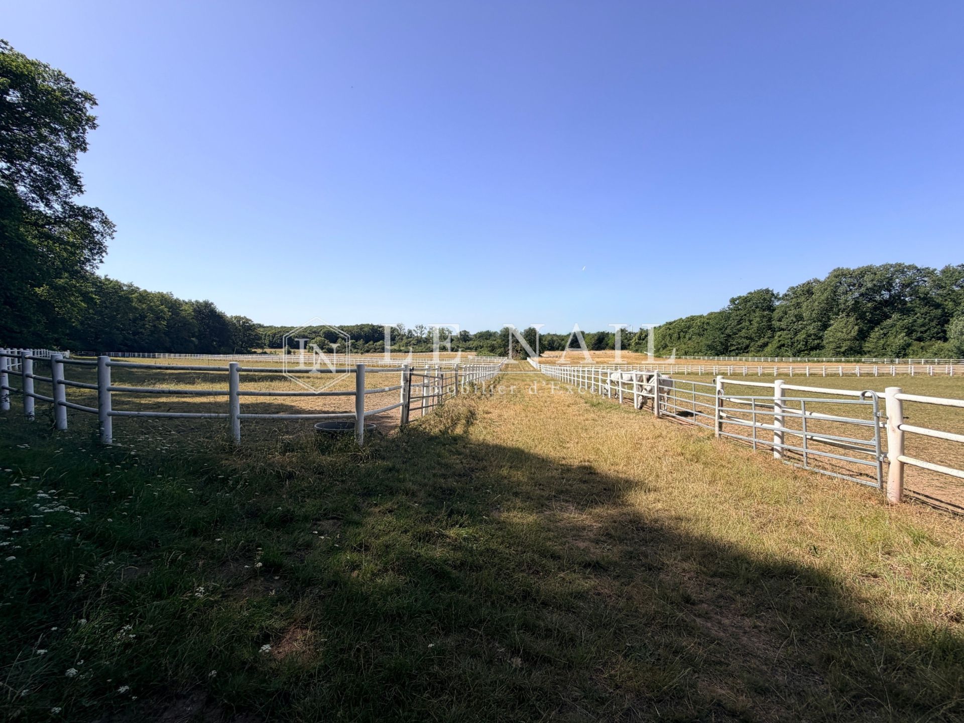 château 16 pièces en vente à AIRVAULT (79600)