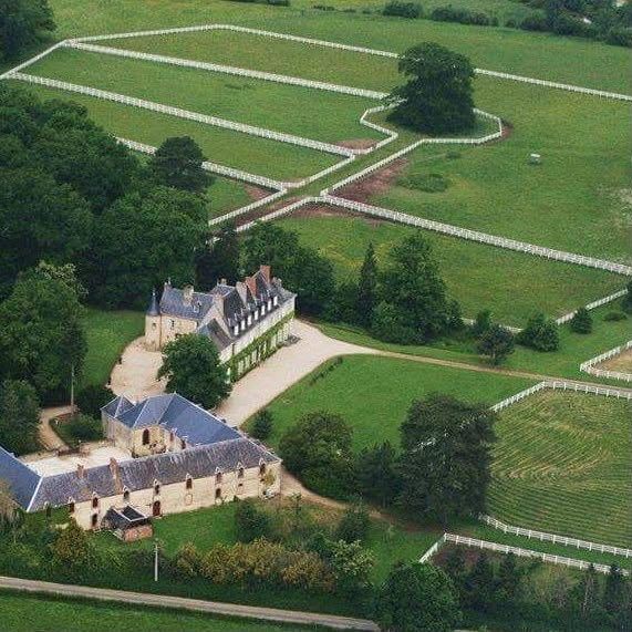 château 16 pièces en vente à AIRVAULT (79600)