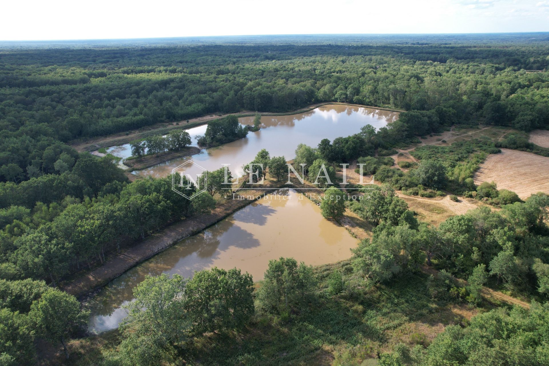 forest for sale on SALBRIS (41300)