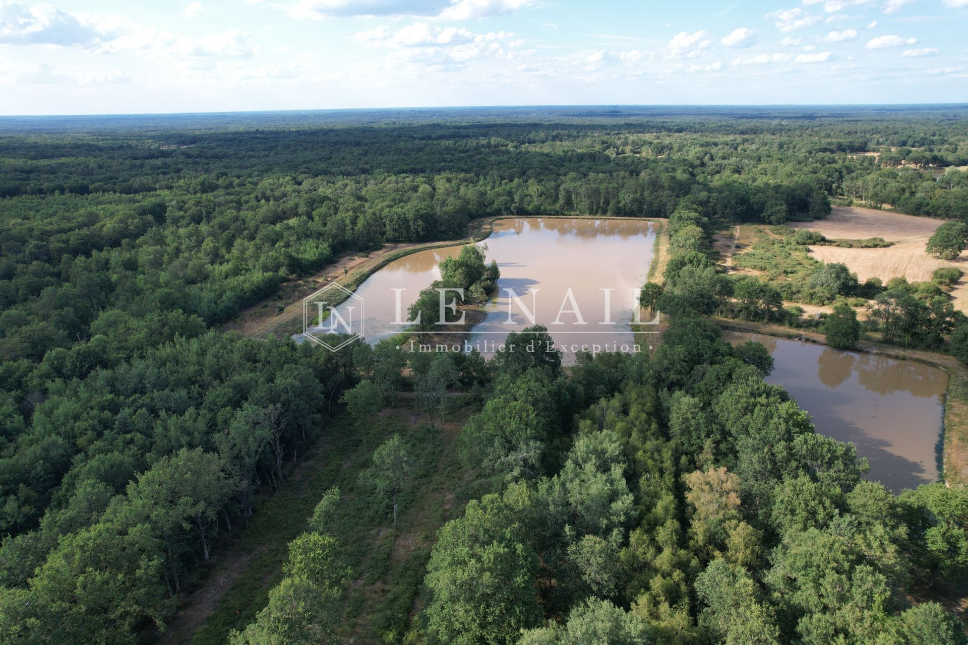 forest for sale on SALBRIS (41300)