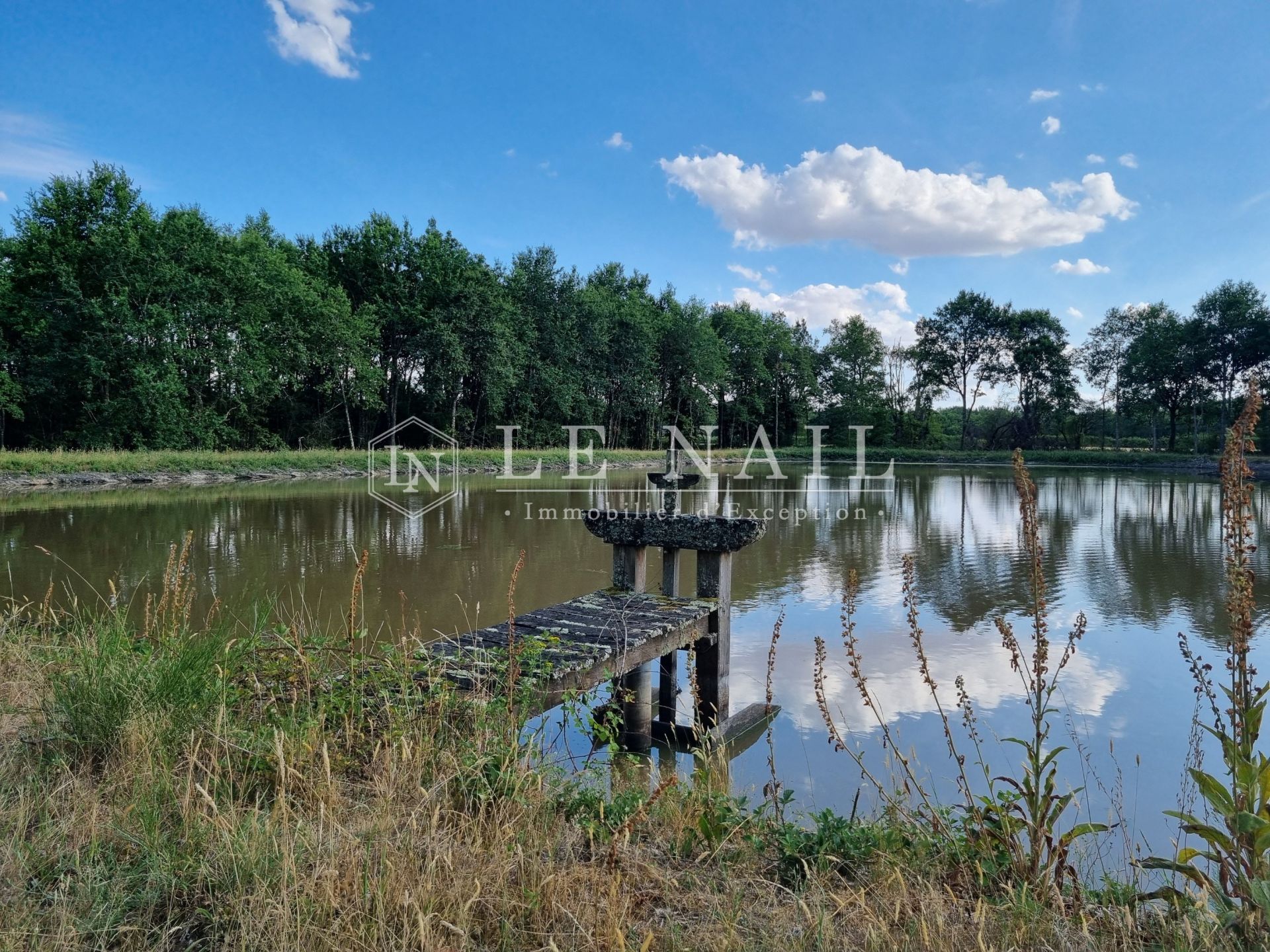 forest for sale on SALBRIS (41300)