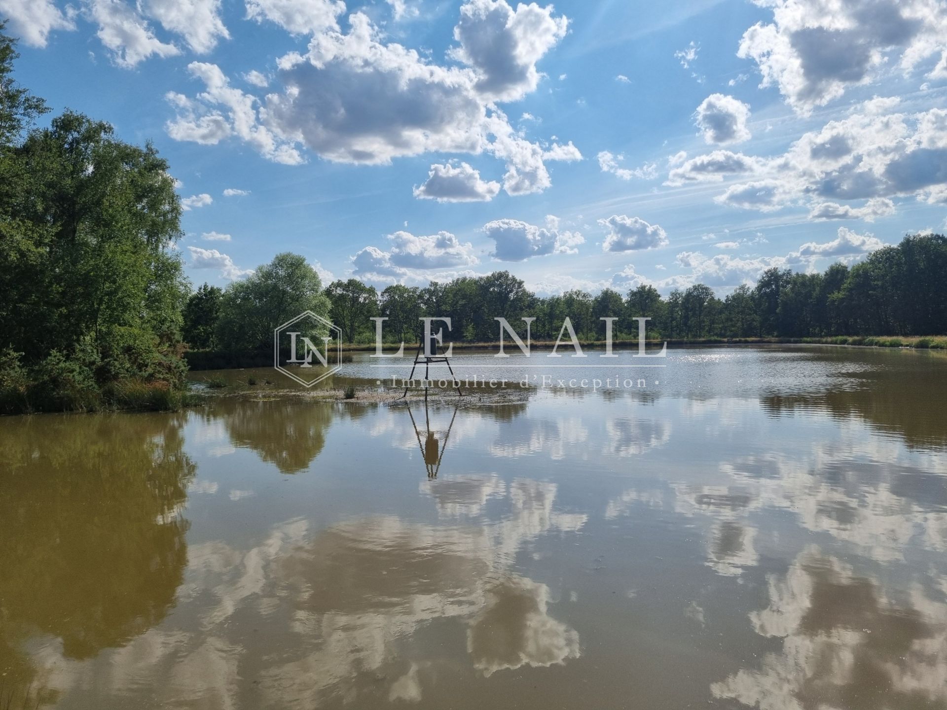 forest for sale on SALBRIS (41300)