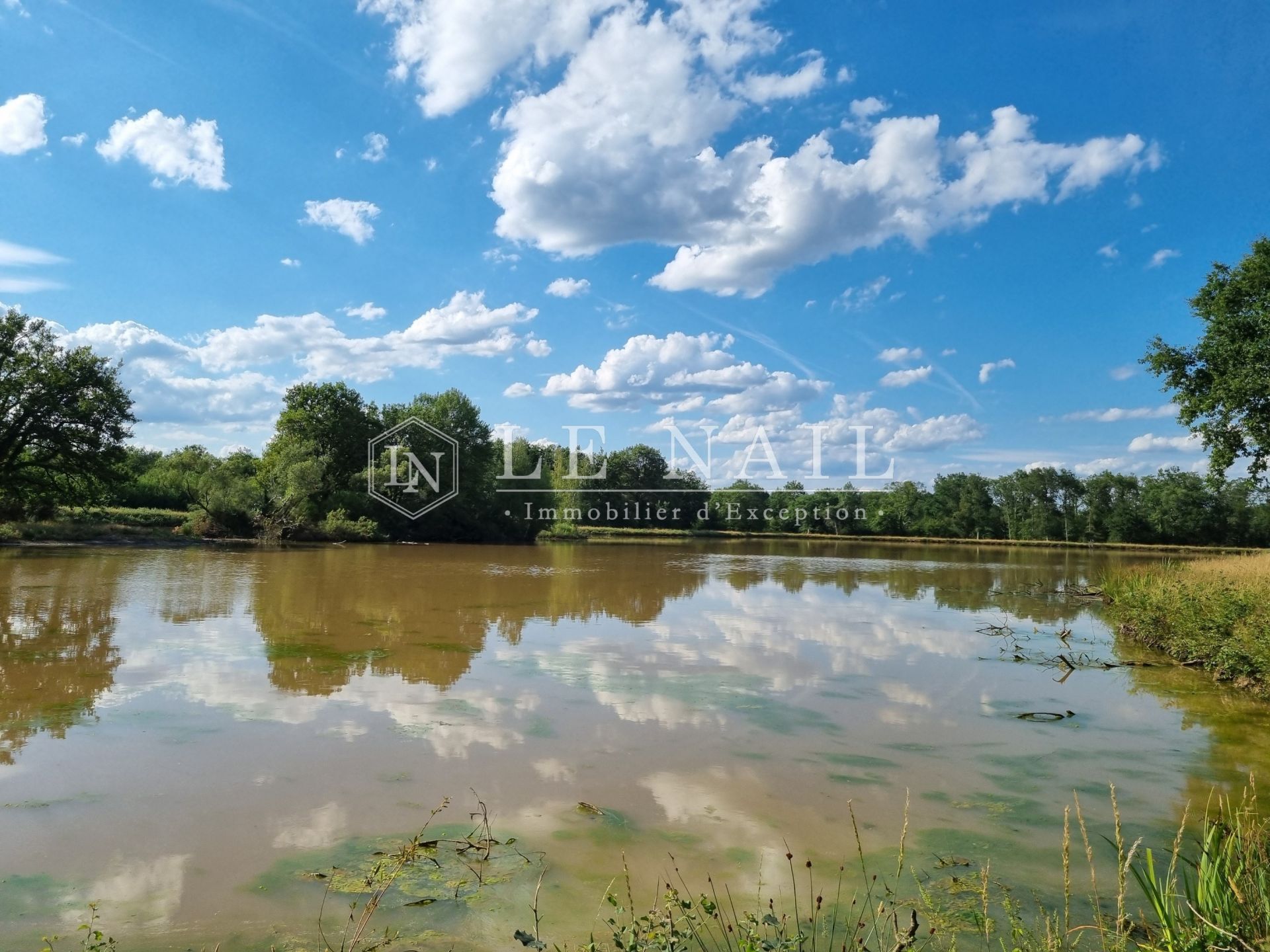 forest for sale on SALBRIS (41300)