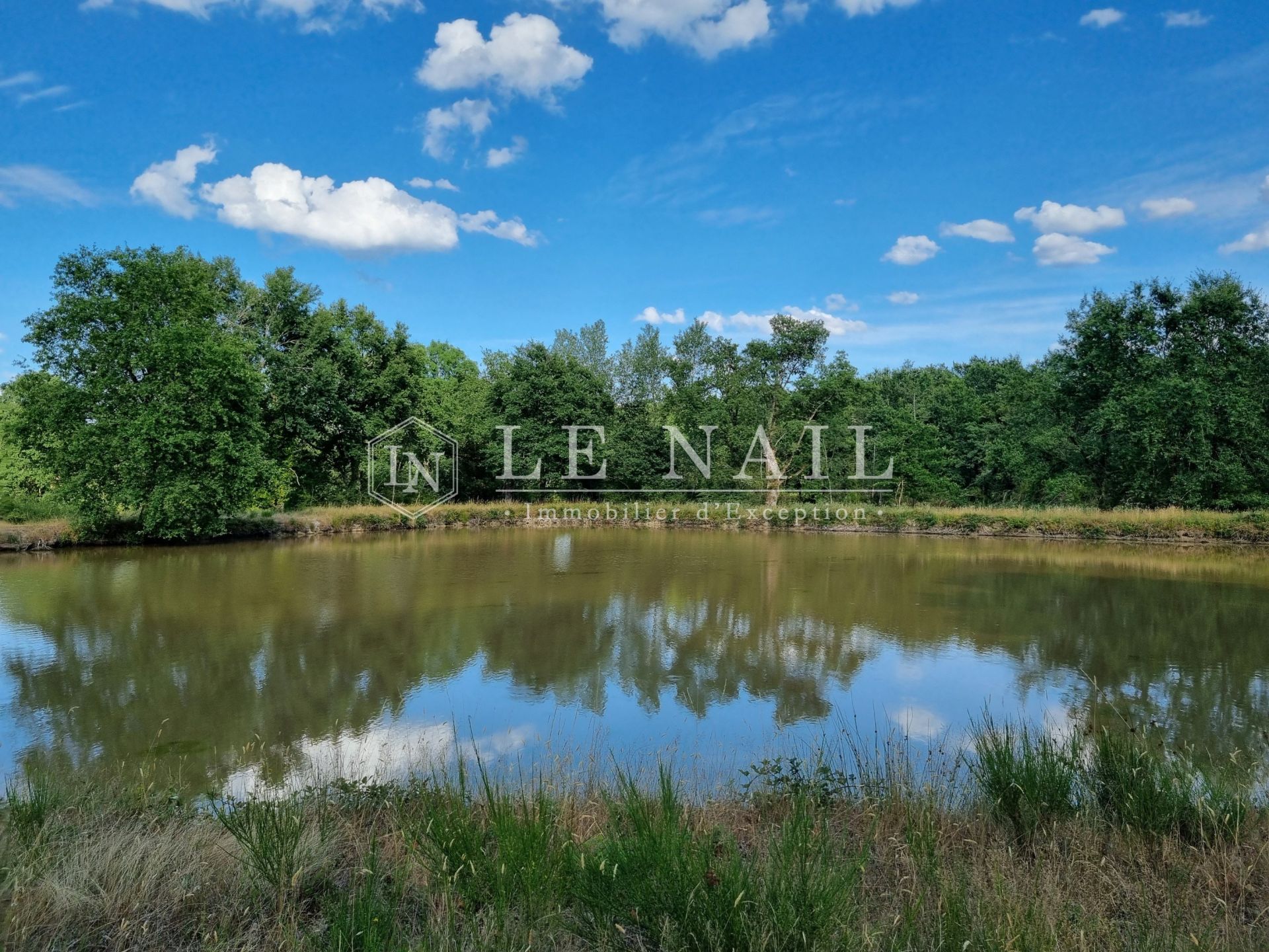 forest for sale on SALBRIS (41300)