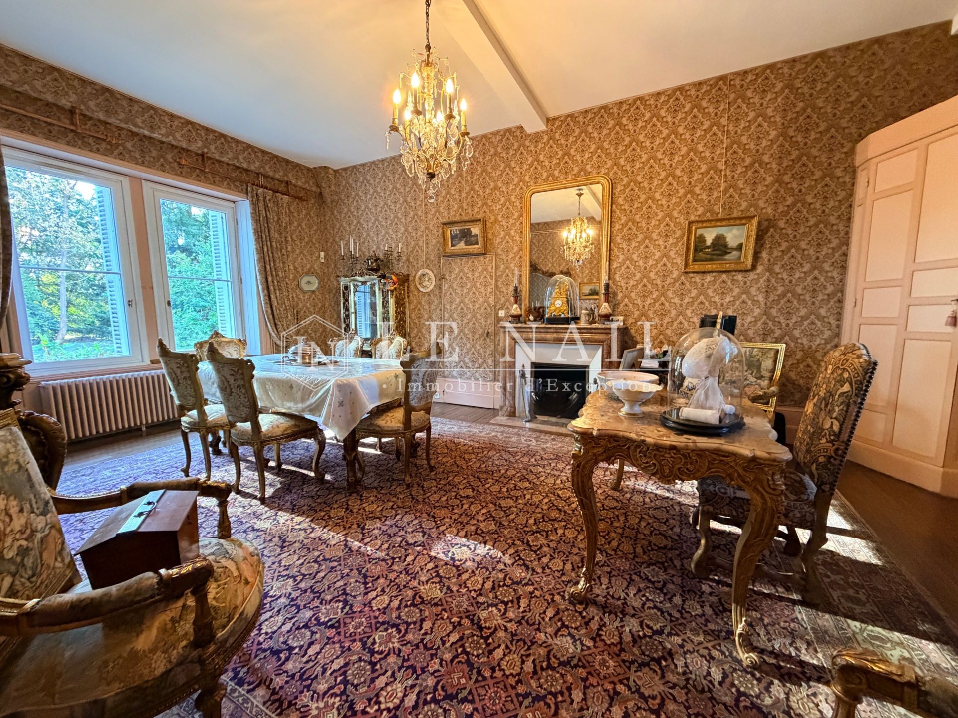 castle 13 rooms for sale on ST MAIXENT L ECOLE (79400)
