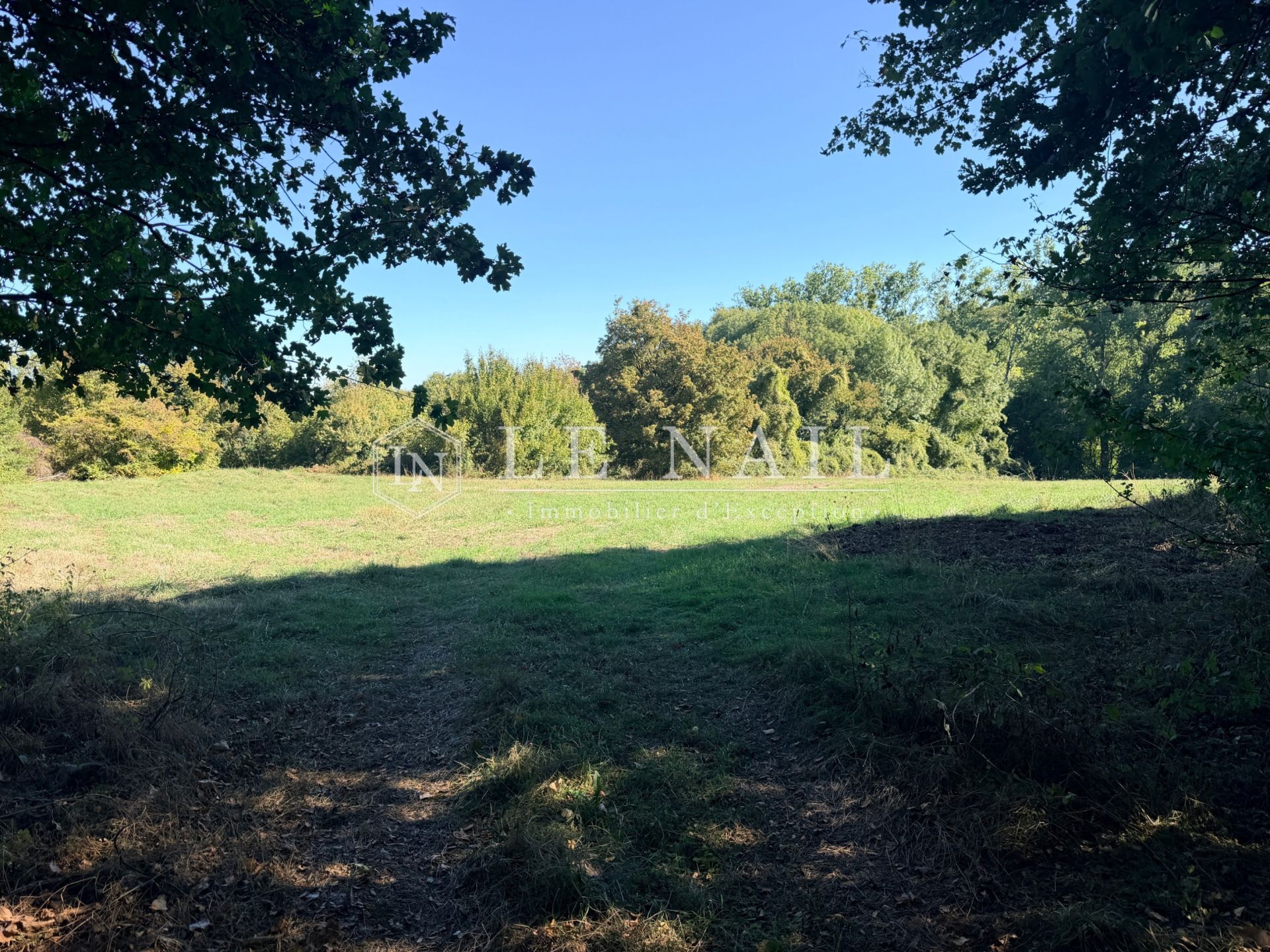 castle 13 rooms for sale on ST MAIXENT L ECOLE (79400)