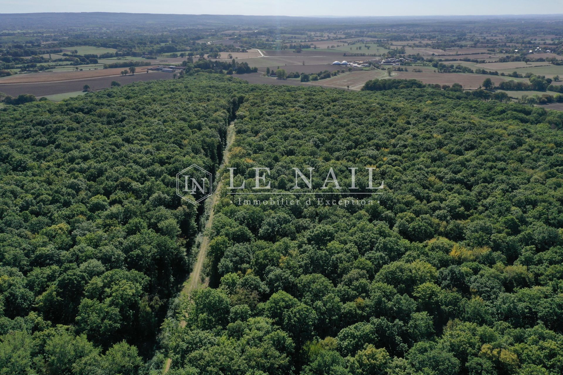 forêt en vente à MARCHEMAISONS (61170)
