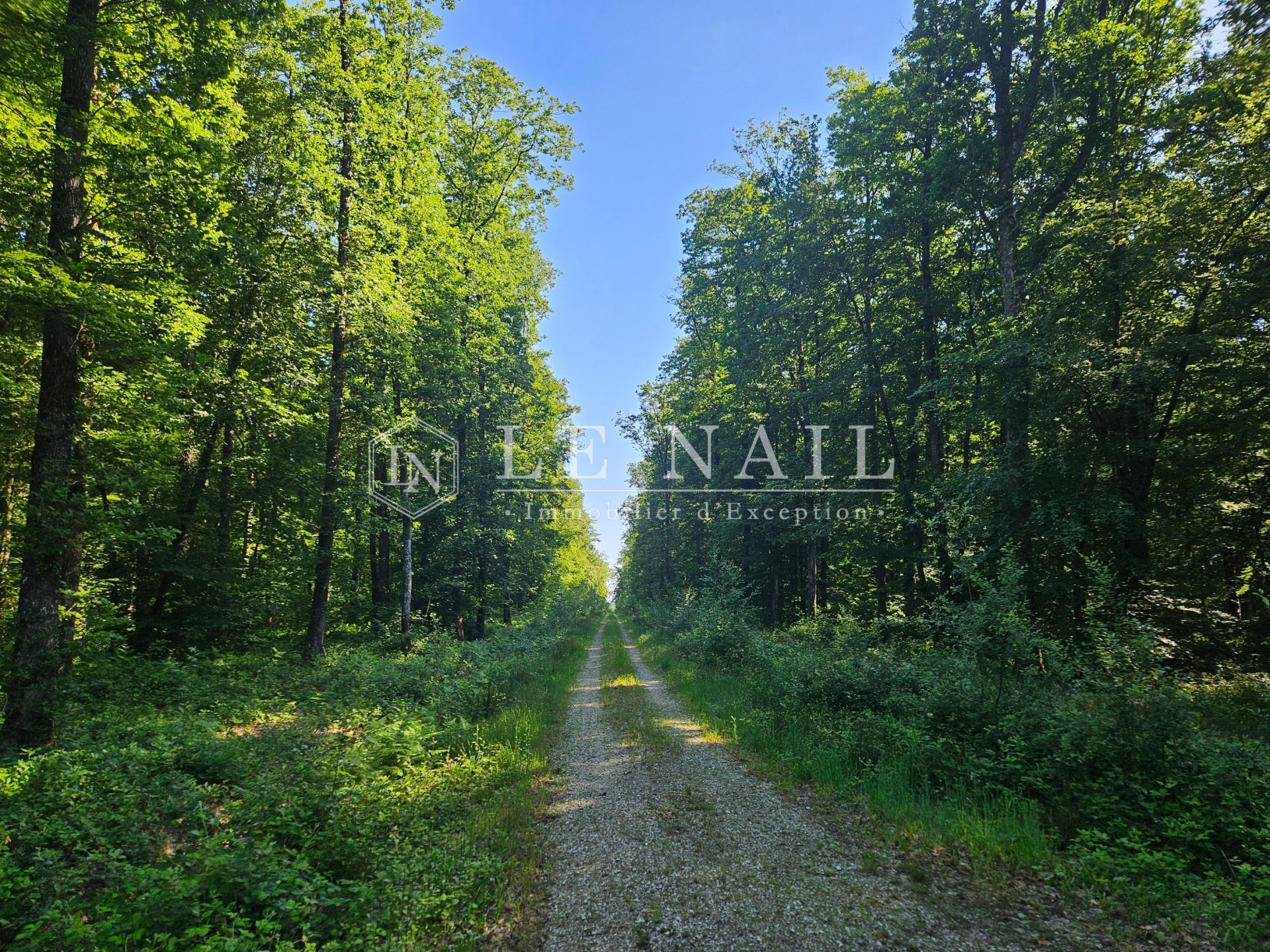 forêt en vente à MARCHEMAISONS (61170)
