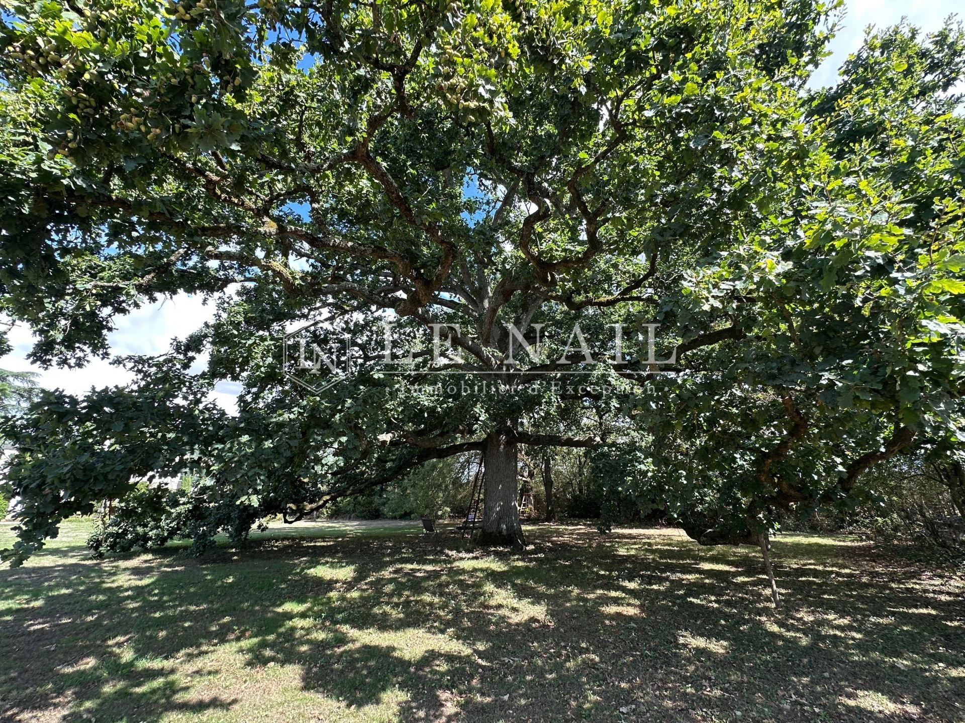 castle 12 rooms for sale on SUCE SUR ERDRE (44240)