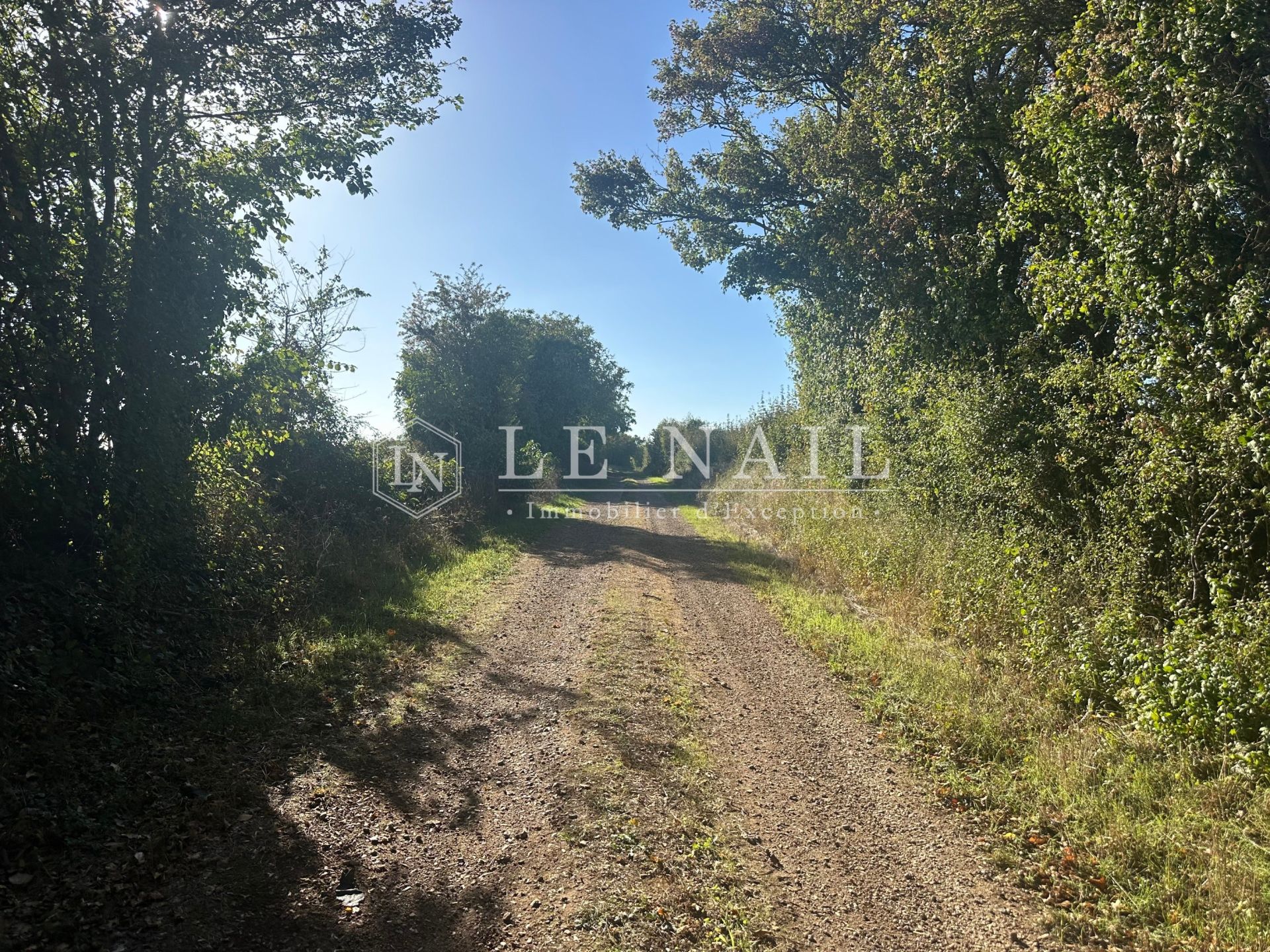 propriété 10 pièces en vente à MOUTIERS LES MAUXFAITS (85540)