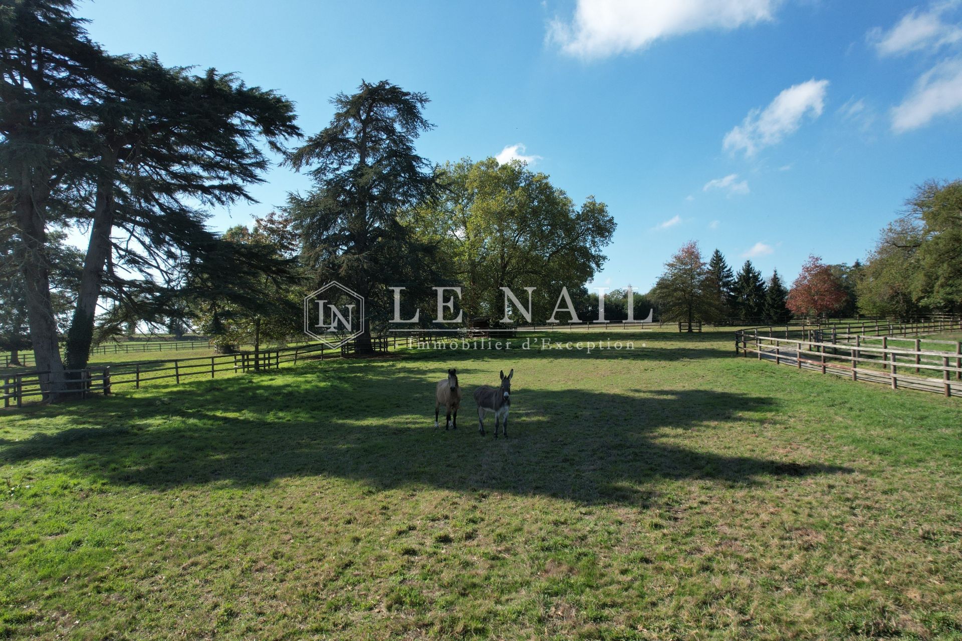manoir 11 pièces en vente à CHATEAUBOURG (35220)