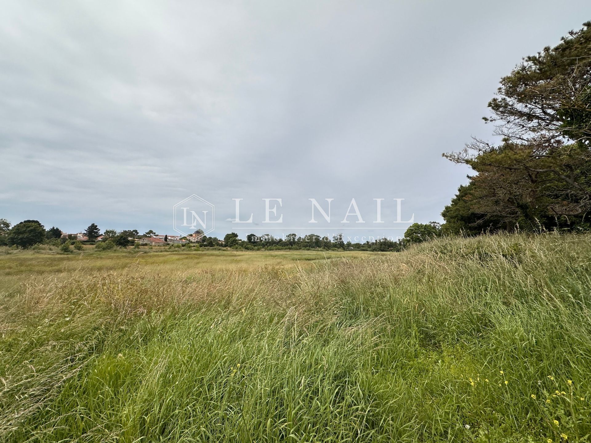 propriété 8 pièces en vente à JARD SUR MER (85520)