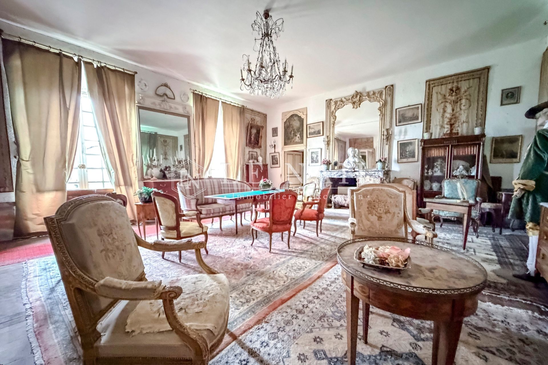 château 25 pièces en vente à CIVRAY (86400)