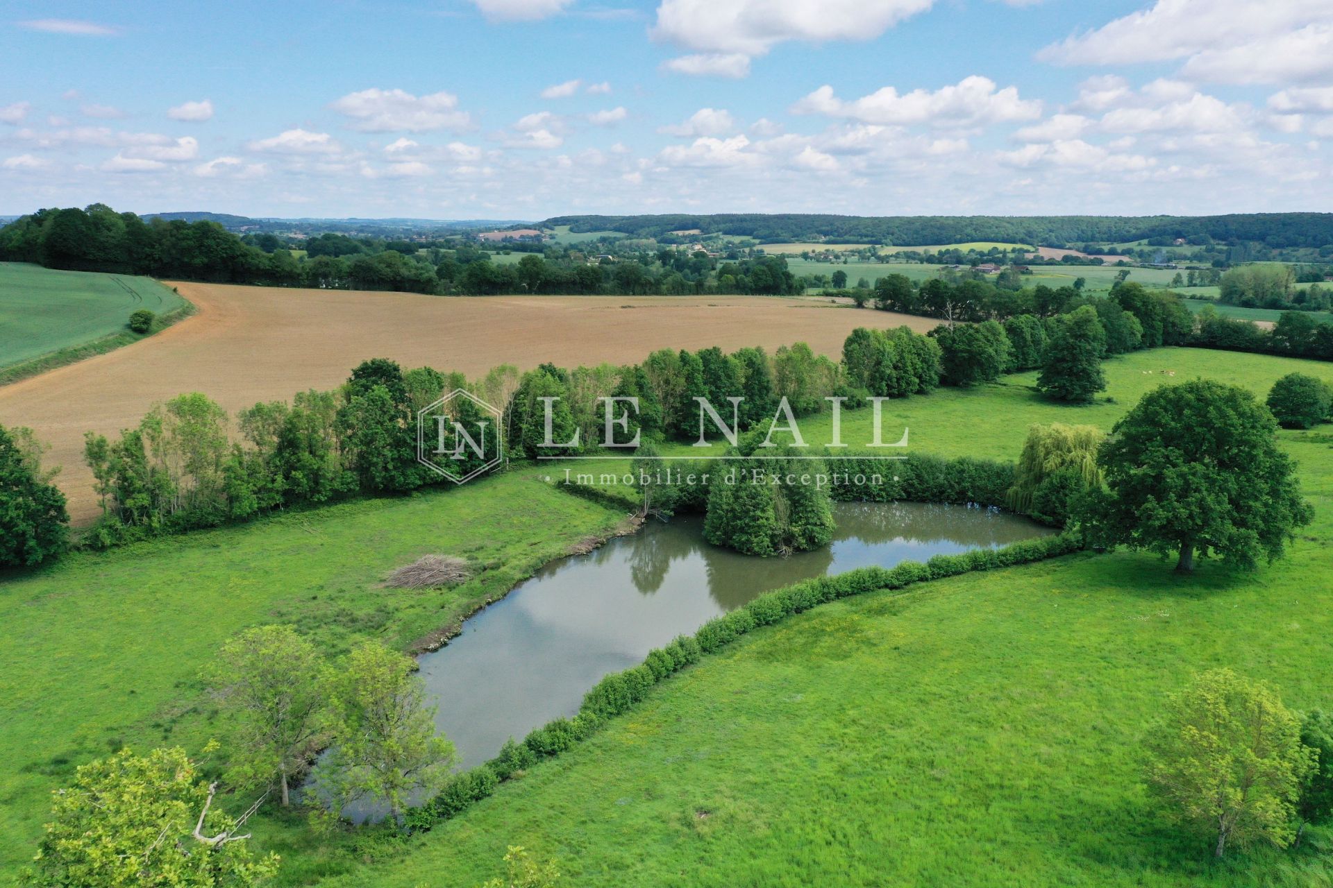 château 19 pièces en vente à LA FERTE BERNARD (72400)