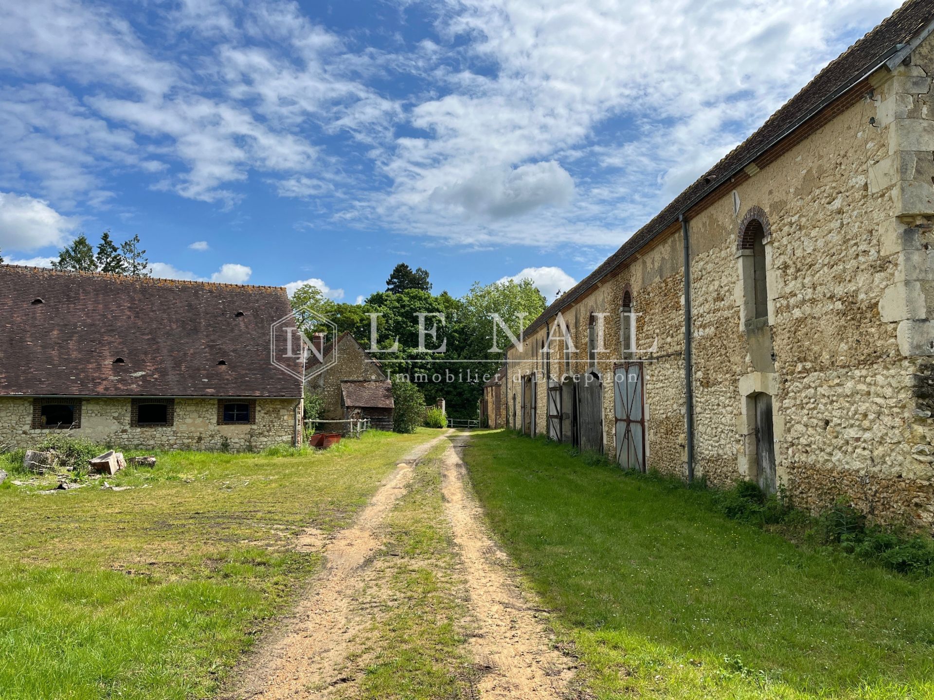 château 19 pièces en vente à LA FERTE BERNARD (72400)