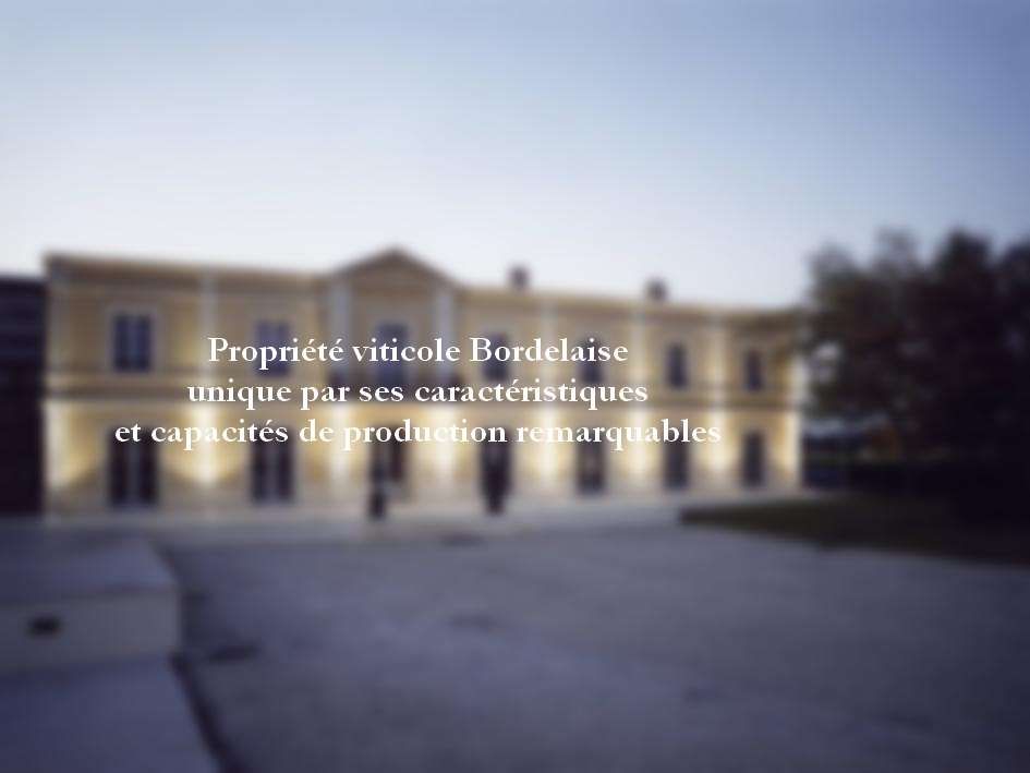propriété viticole 8 pièces en vente à BORDEAUX (33000) - Plus de details