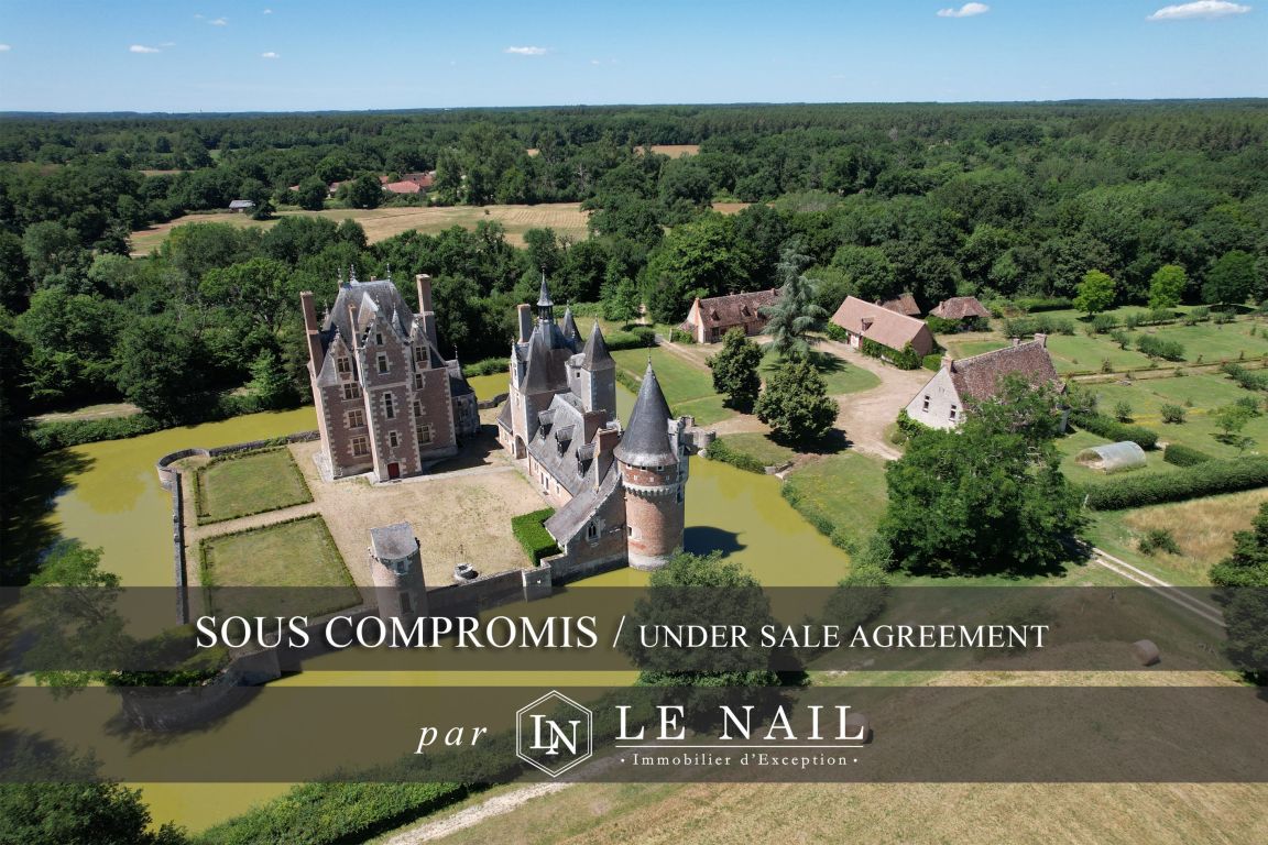 château 18 pièces en vente à ROMORANTIN LANTHENAY (41200) - Plus de details