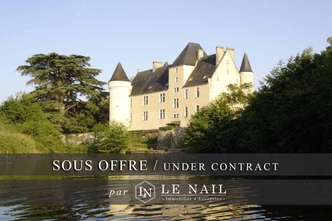 château 17 pièces en vente à LE BLANC (36300) - Plus de details