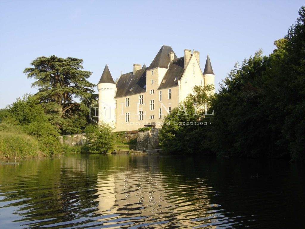 castle 17 rooms for sale on LE BLANC (36300) - See details