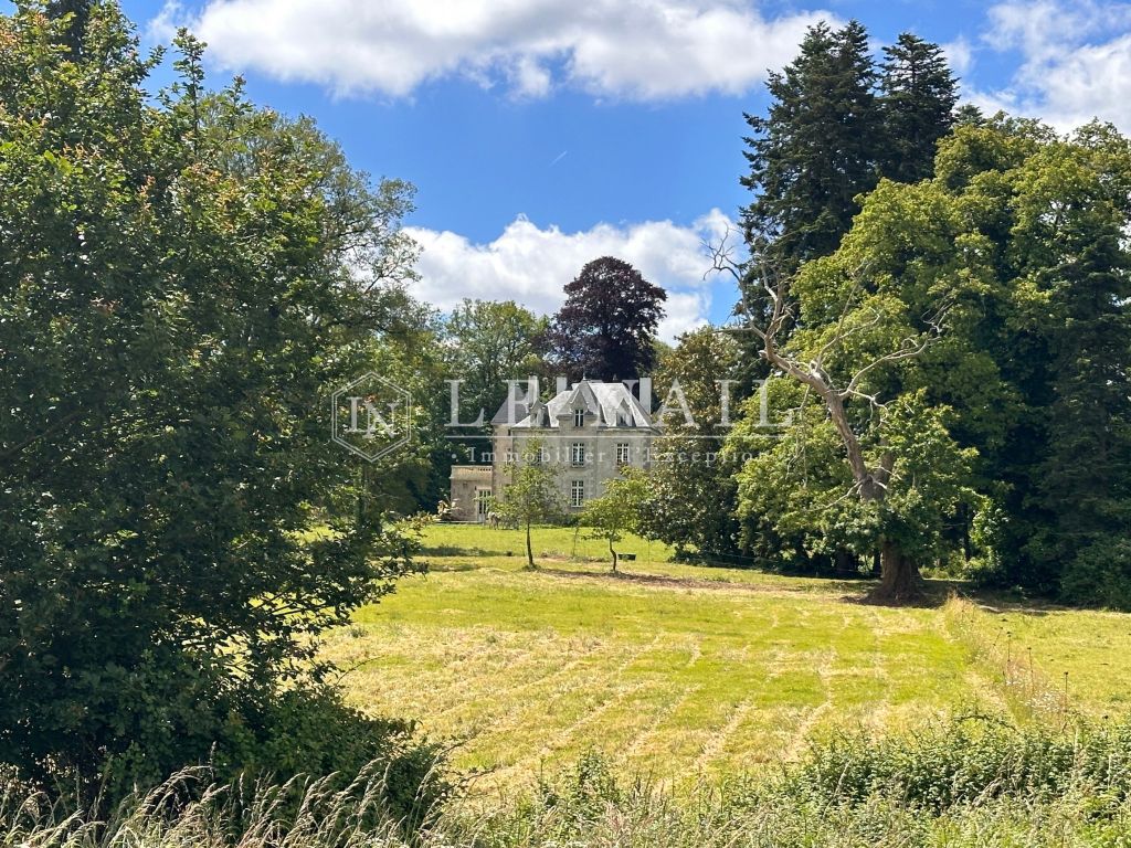 castle 10 rooms for sale on POUZAUGES (85700) - See details