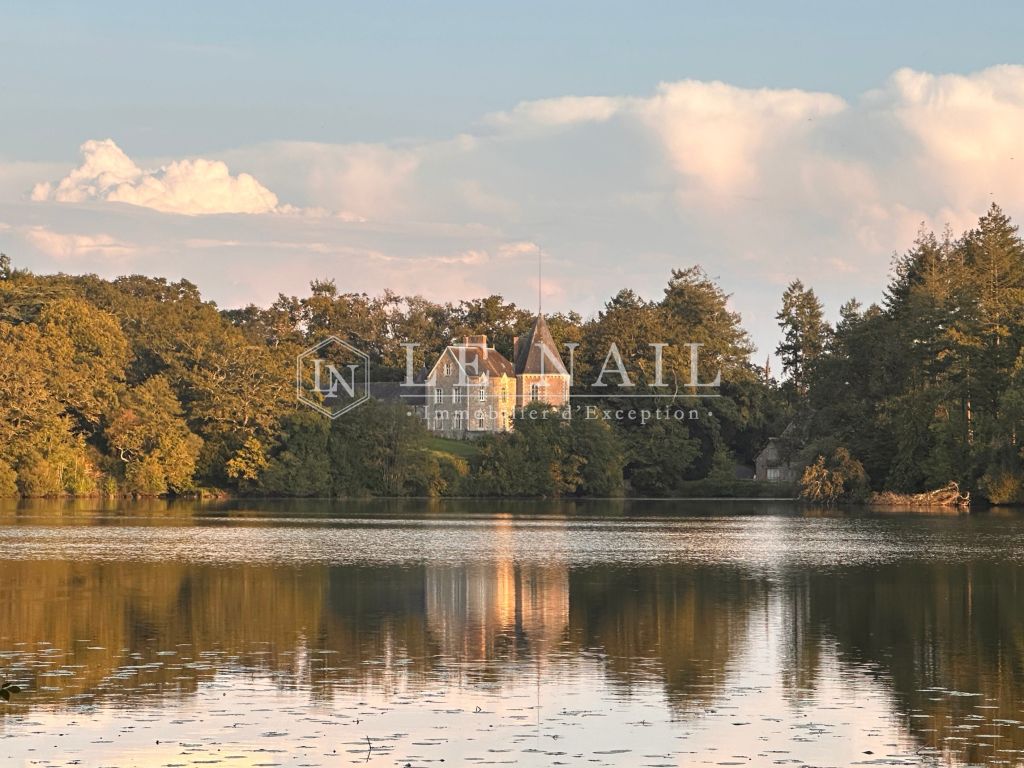 castle 14 rooms for sale on Missillac (44780) - See details