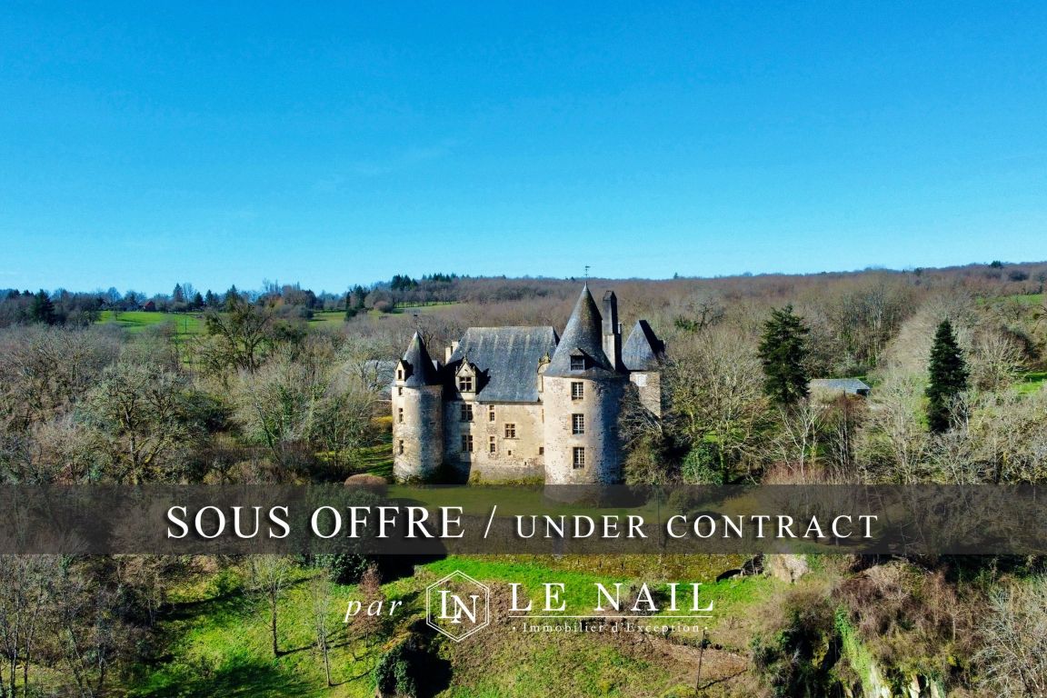 castle 17 rooms for sale on PERIGUEUX (24000) - See details