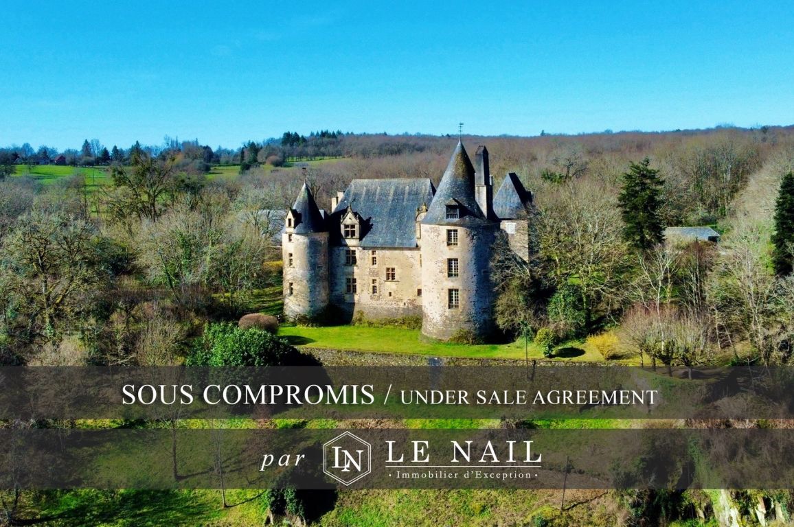 château 17 pièces en vente à PERIGUEUX (24000) - Plus de details