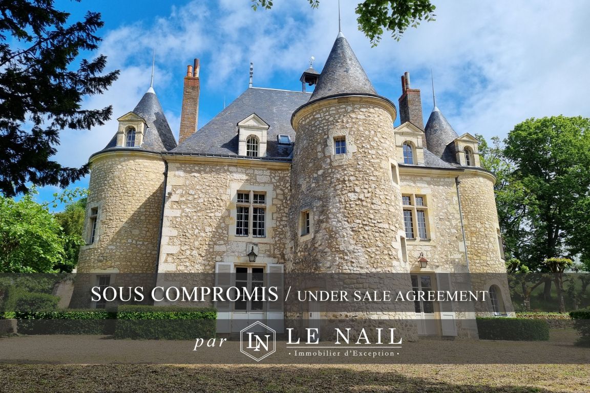 castle 20 rooms for sale on CHATEAU DU LOIR (72500) - See details