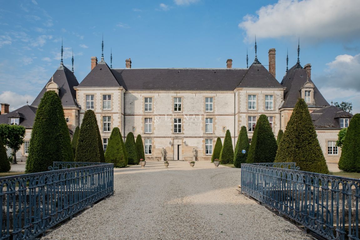 château 36 pièces en vente à CHALONS EN CHAMPAGNE (51000) - Plus de details