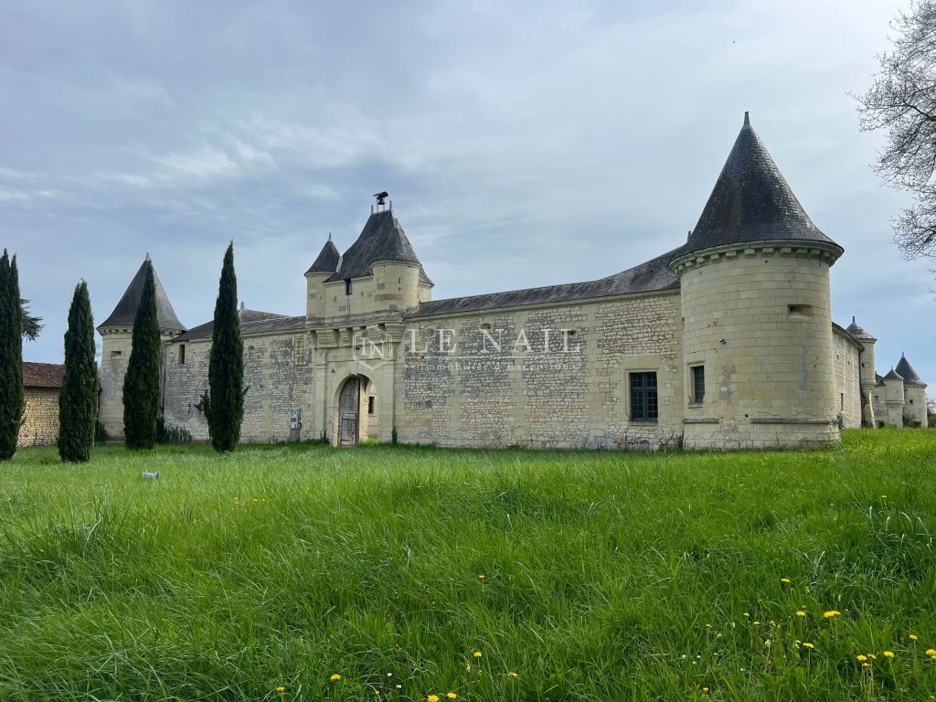château 8 pièces en vente à LOUDUN (86200) - Plus de details
