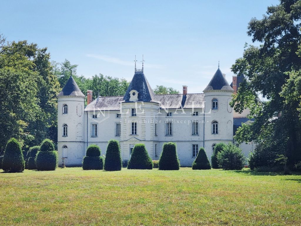 castle 35 rooms for sale on TOURS (37000) - See details