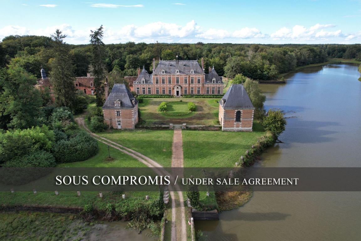 château 24 pièces en vente à ST VIATRE (41210) - Plus de details