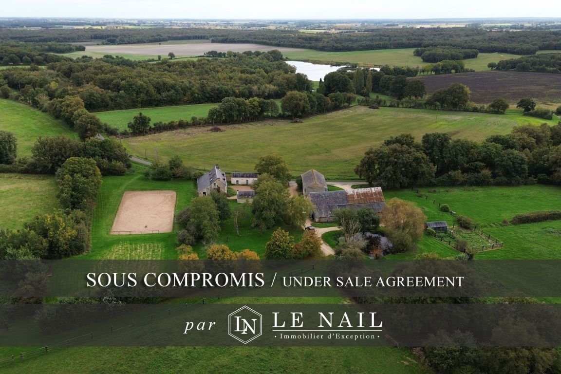 propriété équestre 7 pièces en vente à CHATEAU LA VALLIERE (37330) - Plus de details
