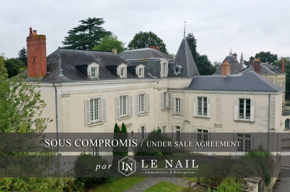 mansion (hôtel particulier) 13 rooms for sale on CHATEAU GONTIER SUR MAYENNE (53200) - See details