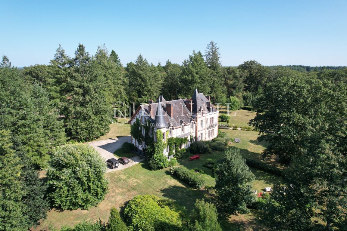 castle 24 rooms for sale on SALBRIS (41300) - See details