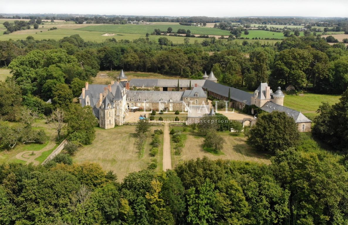 castle 36 rooms for sale on ANGERS (49000) - See details