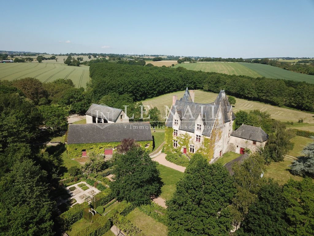 manor house 10 rooms for sale on SILLE LE GUILLAUME (72140) - See details