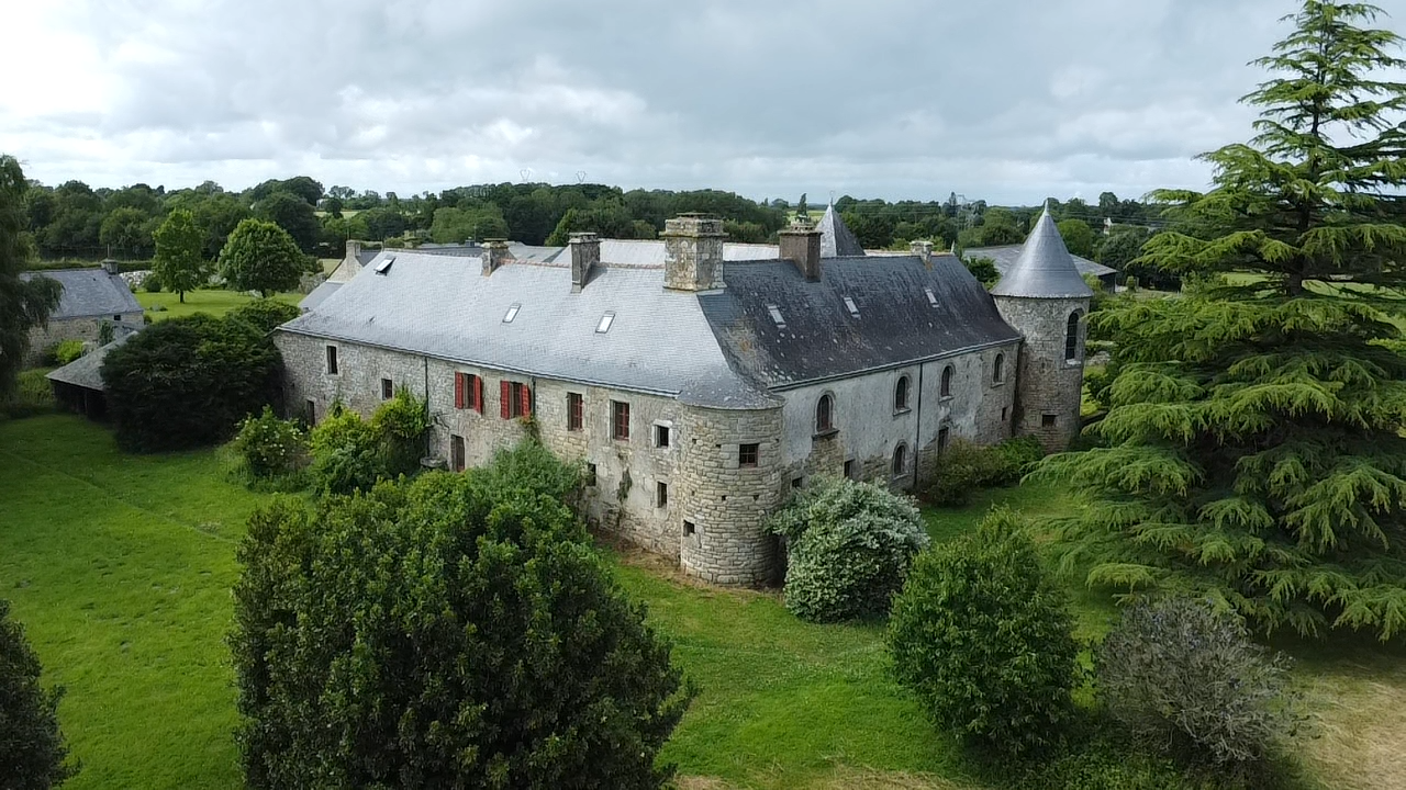 manor house 12 rooms for sale on MARZAN (56130) - See details