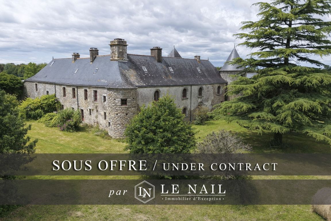 manoir 12 pièces en vente à MARZAN (56130) - Plus de details