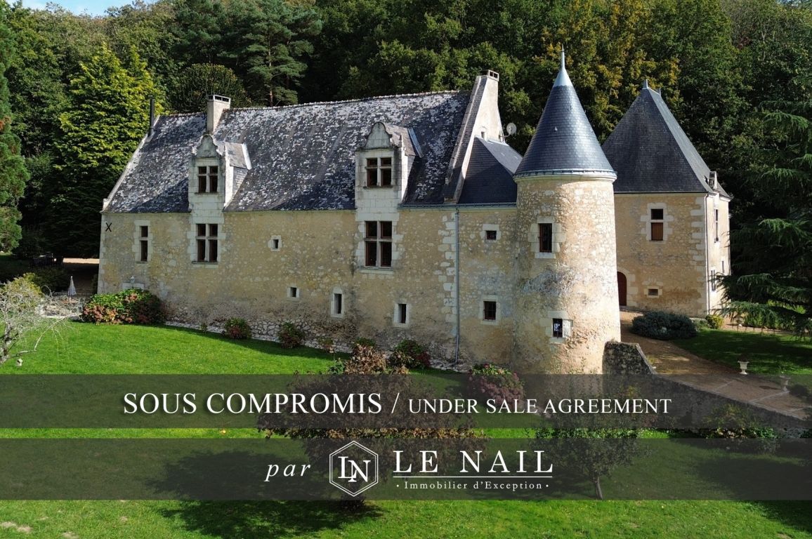 manoir 18 pièces en vente à LE MANS (72000) - Plus de details