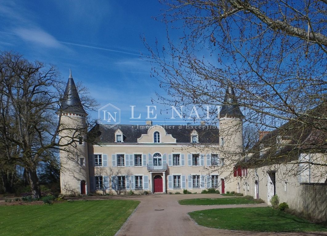 château 20 pièces en vente à LE BLANC (36300) - Plus de details
