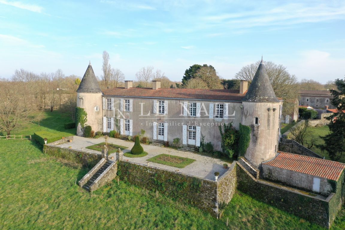 castle 10 rooms for sale on BEAULIEU SOUS LA ROCHE (85190) - See details