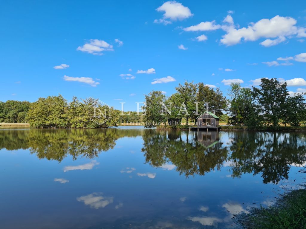 forest for sale on TOURS (37000) - See details