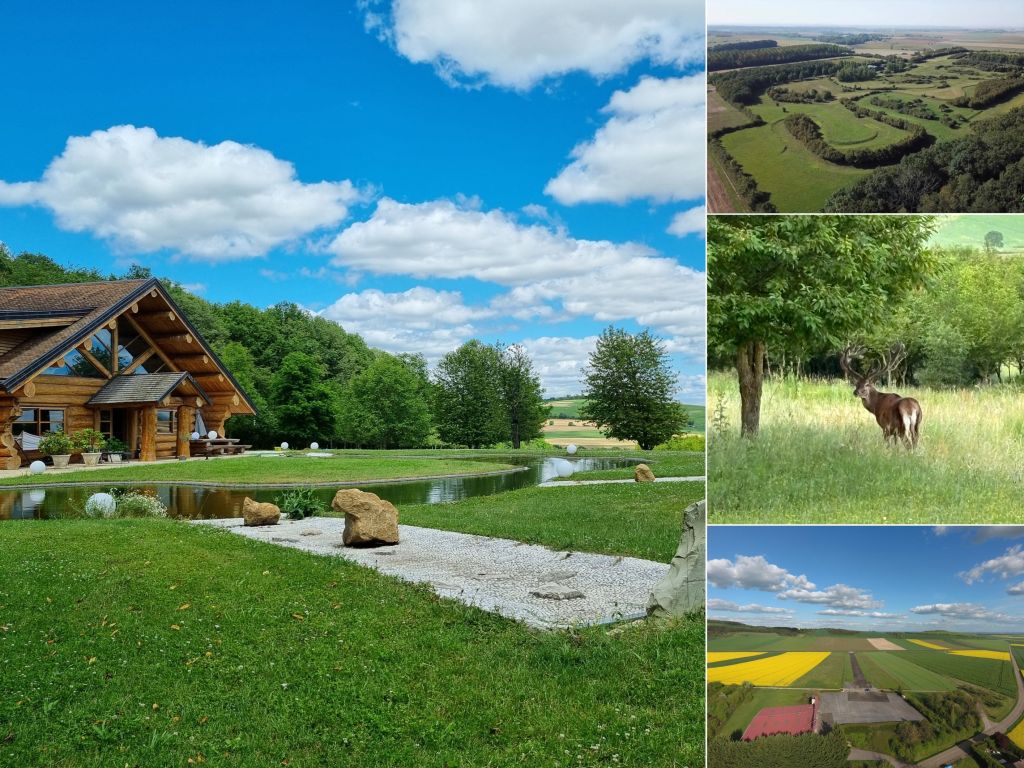 property 6 rooms for sale on MIGENNES (89400) - See details